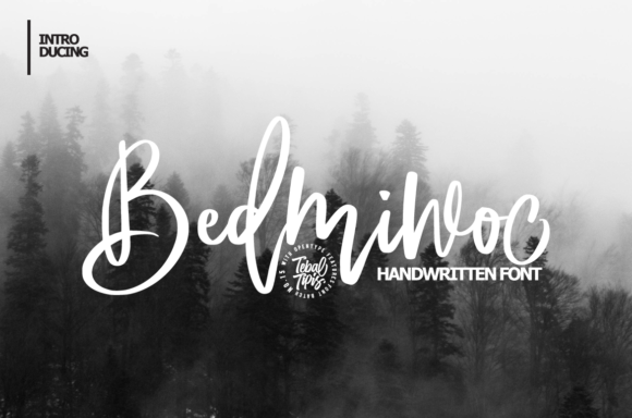 Bedmiwoc: A Modern Script Font with Real Project Muscle
