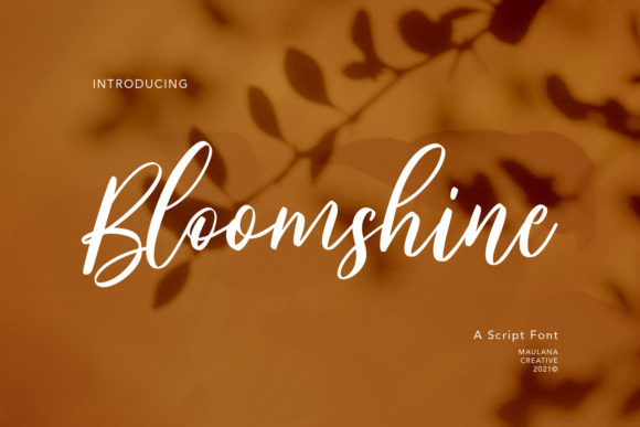 Bloomshine: A Stylish Handwritten Font for Creative Web Design