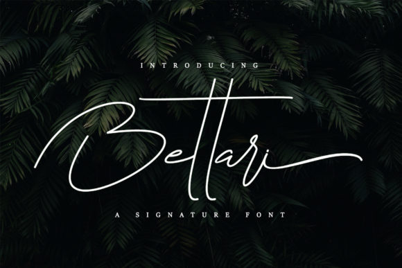 Elevate Your Brand with Bettari: A Premium Script Font