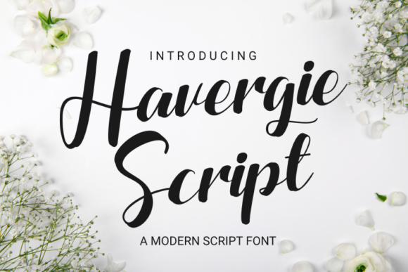 Enhance Your Campaign with Havergie: A Stylish Script Font