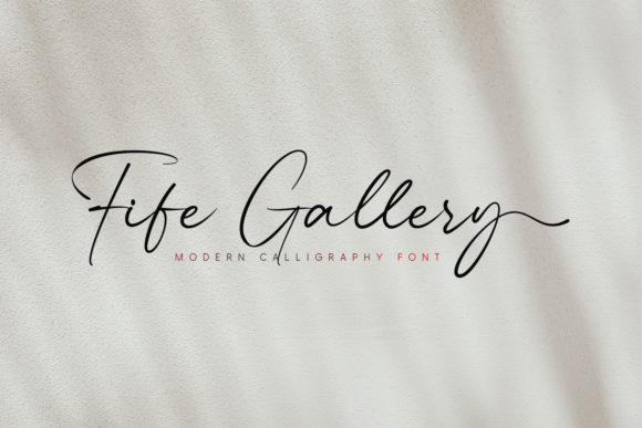 Fife Gallery: A Stylish Script Font for Modern Marketers
